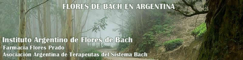 Logo Instituto Bach