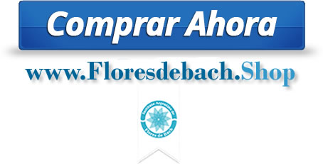 Comprar Online